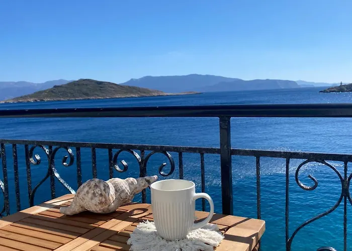 アパート Ariadne *